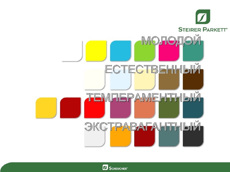 МОЛОДОЙ ЕСТЕСТВЕННЫЙ ТЕМПЕРАМЕНТНЫЙ ЭКСТРАВАГАНТНЫЙ 