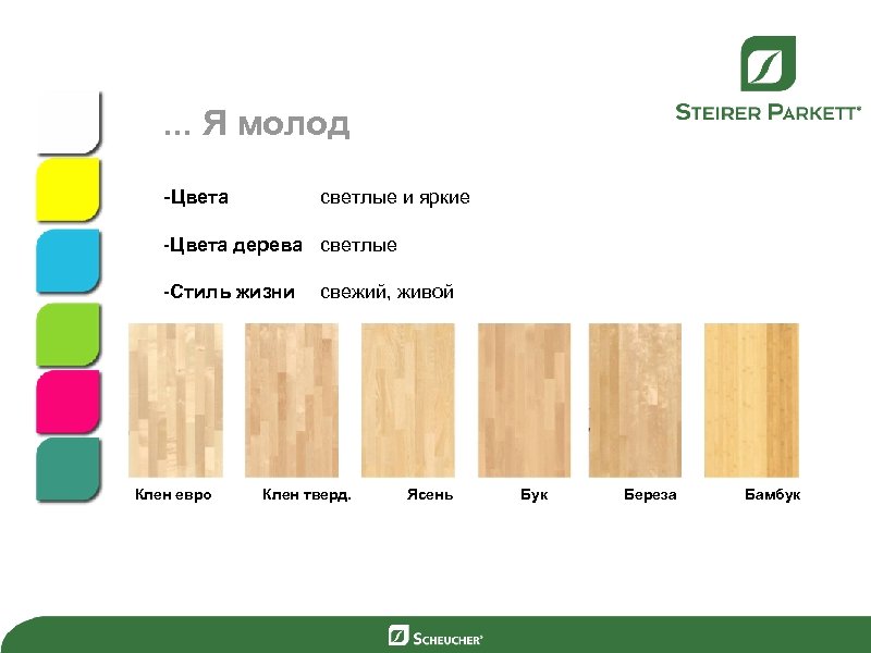. . . Я молод -Цвета светлые и яркие -Цвета дерева светлые -Стиль жизни