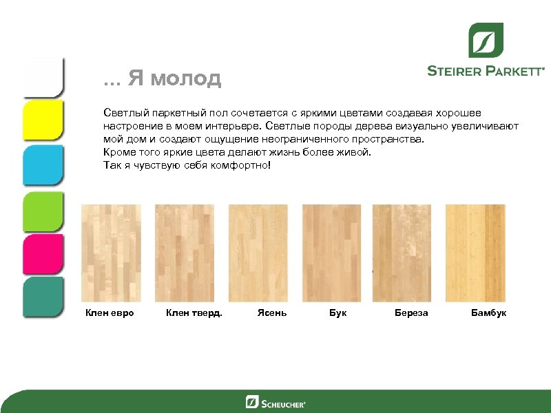 . . . Я молод Светлый паркетный пол сочетается с яркими цветами создавая хорошее