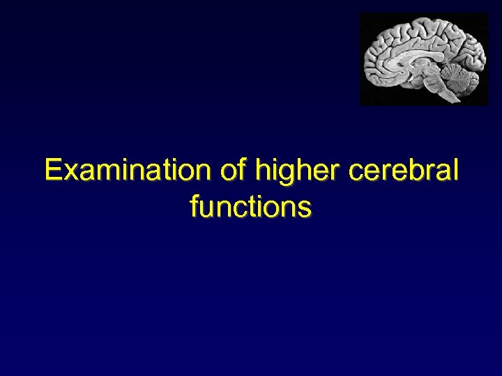 Examination of higher cerebral functions 