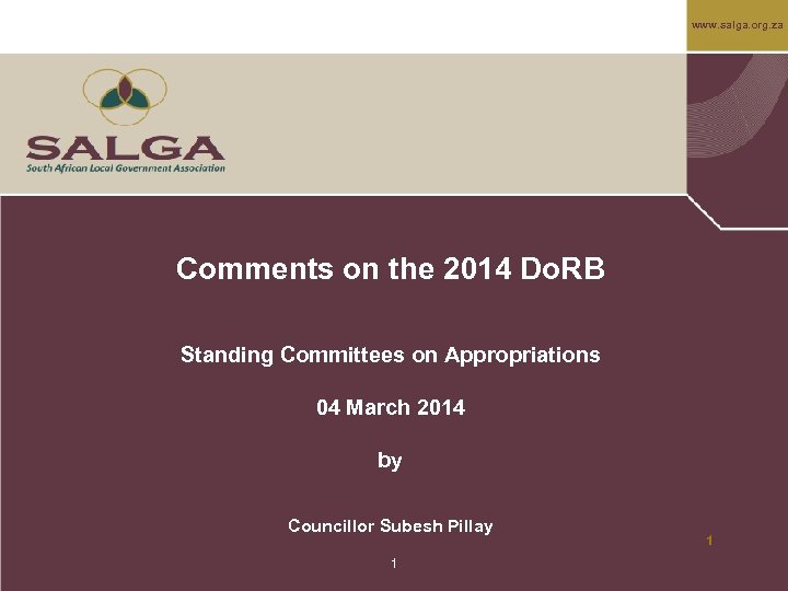 www. salga. org. za Comments on the 2014 Do. RB Standing Committees on Appropriations