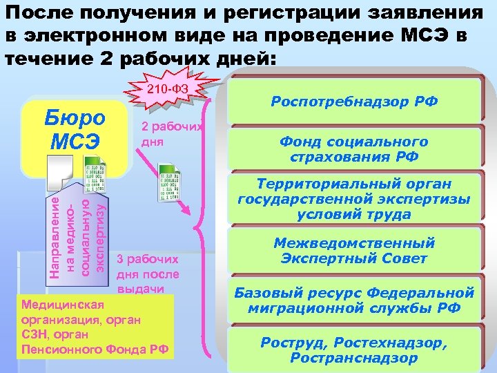 После получения и регистрации заявления в электронном виде на проведение МСЭ в течение 2