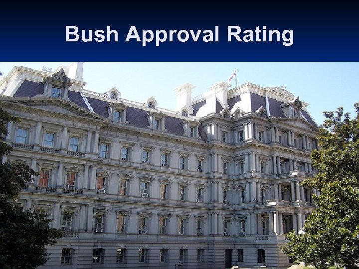 Bush Approval Rating 