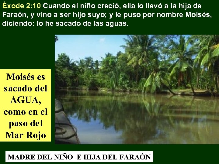 Èxode 2: 10 Cuando el niño creció, ella lo llevó a la hija de