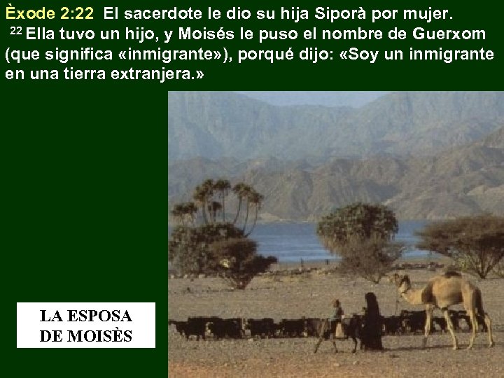 Èxode 2: 22 El sacerdote le dio su hija Siporà por mujer. 22 Ella