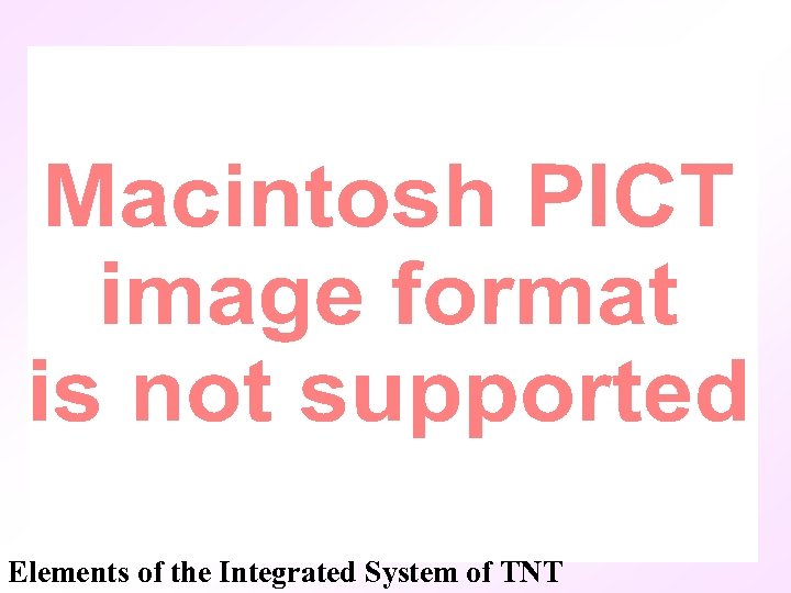 Elements of the Integrated System of TNT 