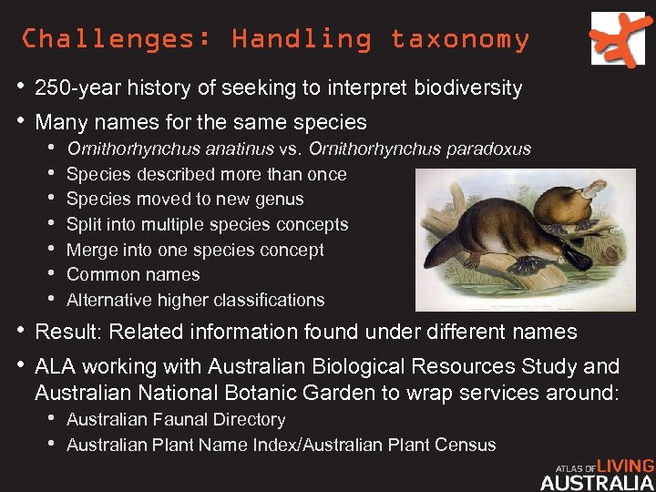 Challenges: Handling taxonomy • 250 -year history of seeking to interpret biodiversity • Many