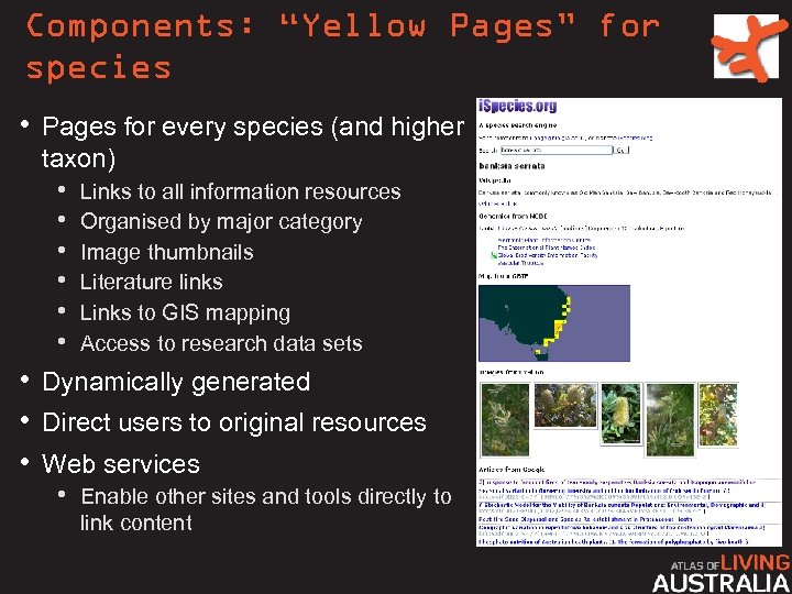 Components: “Yellow Pages” for species • Pages for every species (and higher taxon) •