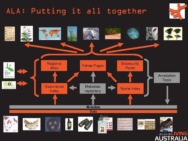 ALA: Putting it all together Regional Atlas Yellow Pages Biosecurity Portal Annotation Tools Occurrence