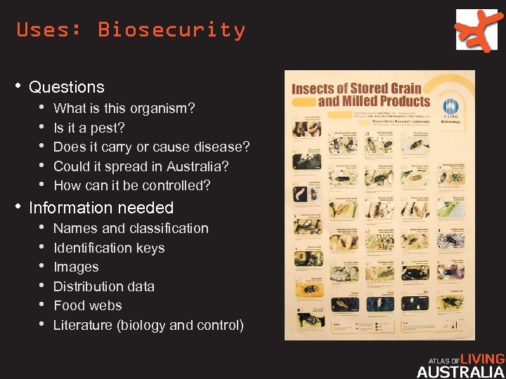 Uses: Biosecurity • Questions • What is this organism? • Is it a pest?