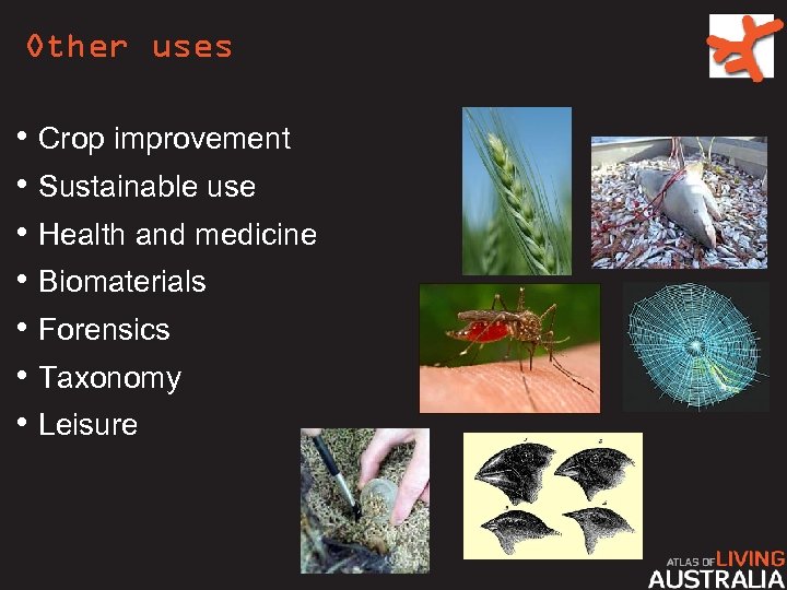 Other uses • Crop improvement • Sustainable use • Health and medicine • Biomaterials