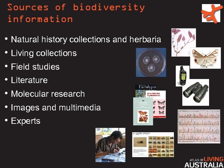 Sources of biodiversity information • Natural history collections and herbaria • Living collections •