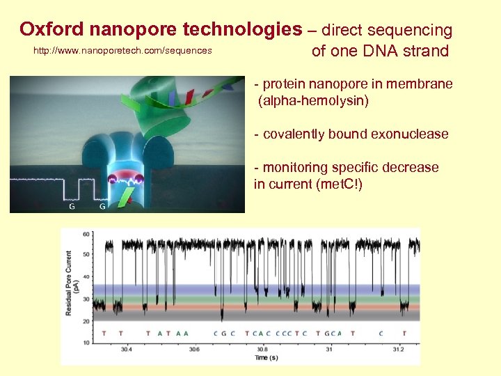 Oxford nanopore technologies – direct sequencing http: //www. nanoporetech. com/sequences of one DNA strand
