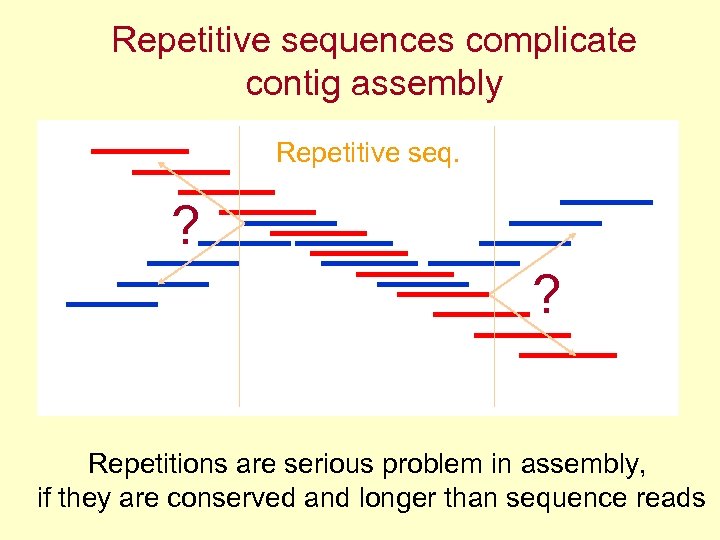 Repetitive sequences complicate contig assembly Repetitive seq. ? ? Repetitions are serious problem in