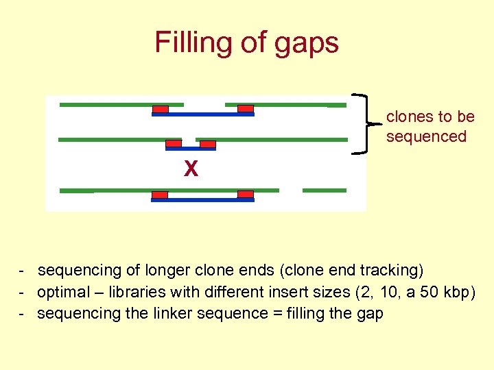 Filling of gaps clones to be sequenced X - sequencing of longer clone ends