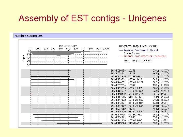 Assembly of EST contigs - Unigenes 