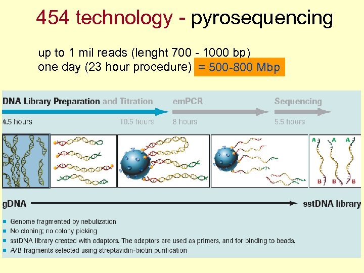 454 technology - pyrosequencing up to 1 mil reads (lenght 700 - 1000 bp)