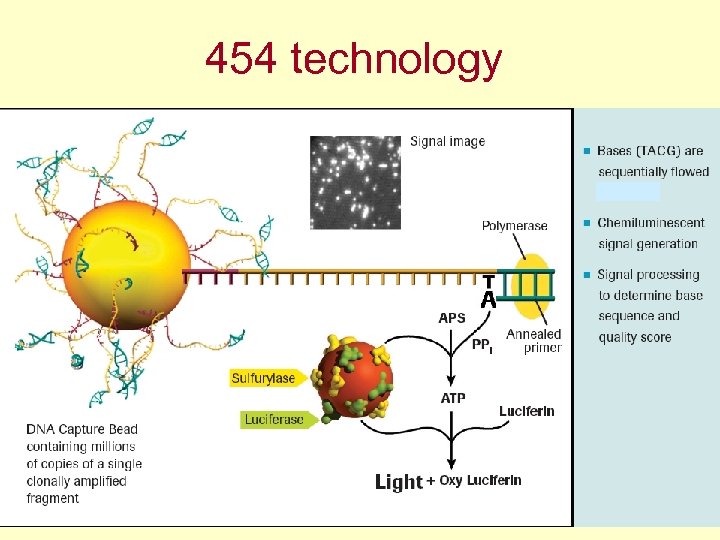 454 technology 