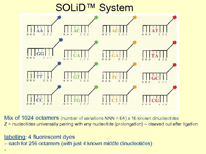 SOLi. D™ System Mix of 1024 octamers (number of variations NNN = 64) x