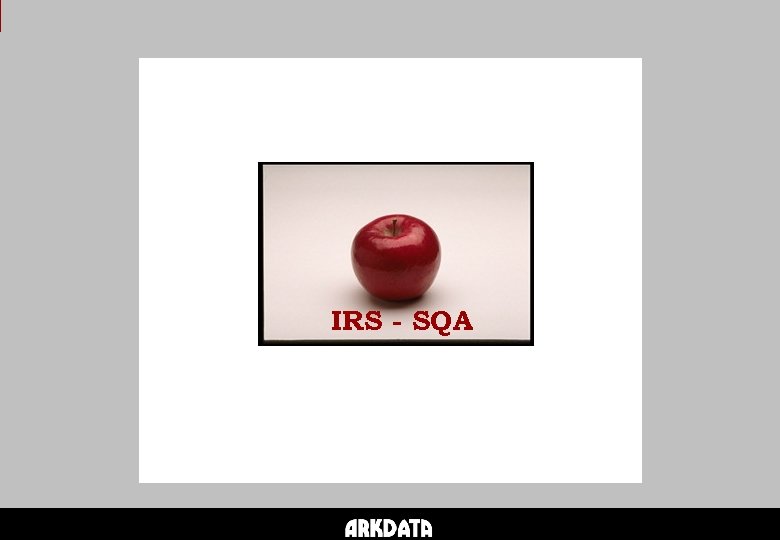 IRS - SQA 