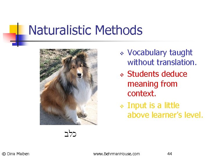 Naturalistic Methods v v v Vocabulary taught without translation. Students deduce meaning from context.