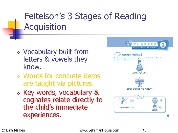 Feitelson’s 3 Stages of Reading Acquisition v v v Vocabulary built from letters &