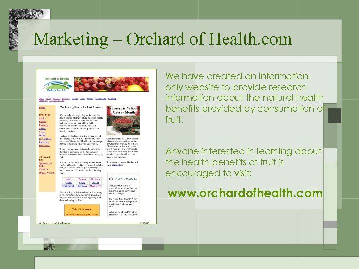 Marketing – Orchard of Health. com We have created an informationonly website to provide