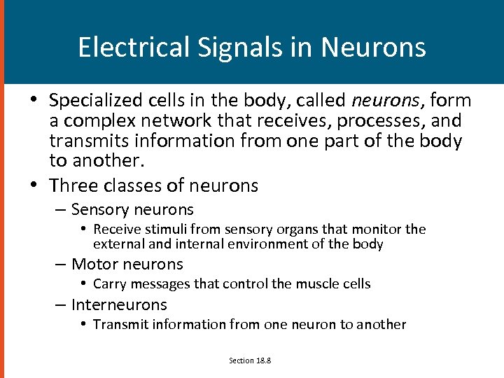 Electrical Signals in Neurons • Specialized cells in the body, called neurons, form a
