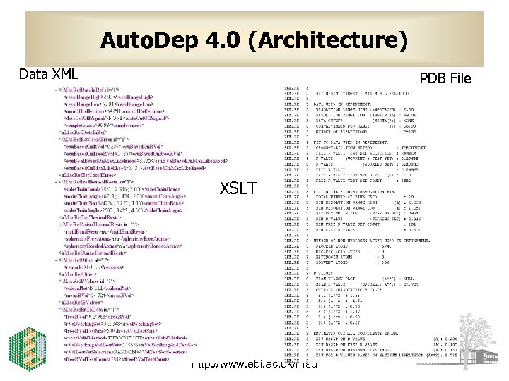 Auto. Dep 4. 0 (Architecture) Data XML PDB File XSLT http: //www. ebi. ac.