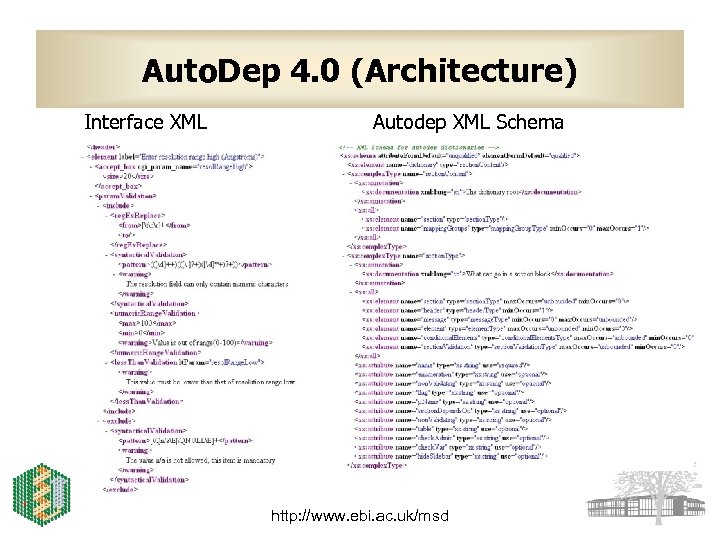 Auto. Dep 4. 0 (Architecture) Interface XML Autodep XML Schema http: //www. ebi. ac.