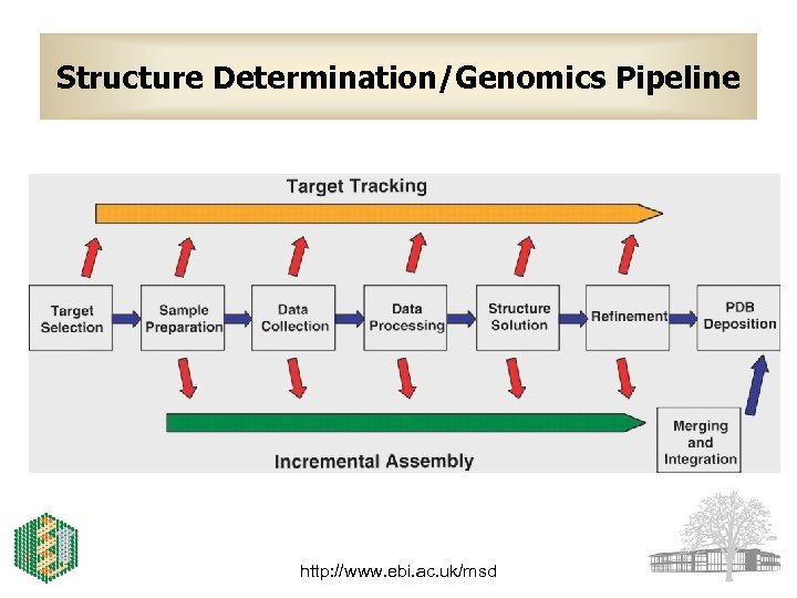 Structure Determination/Genomics Pipeline http: //www. ebi. ac. uk/msd 