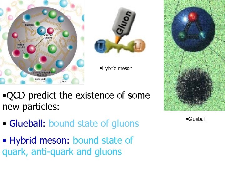  • Hybrid meson • QCD predict the existence of some new particles: •