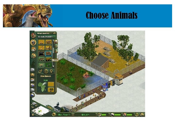 Choose Animals 