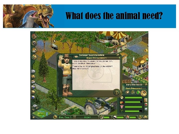 What does the animal need? 