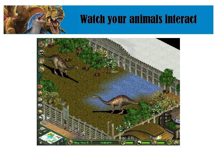 Watch your animals interact 