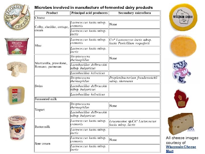Microbes involved in manufacture of fermented dairy products All cheese images courtesy of Wisconsin
