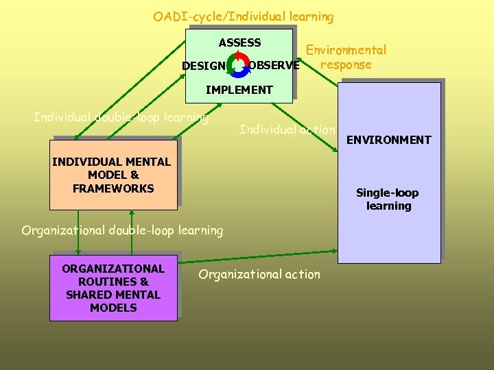 OADI-cycle/Individual learning ASSESS DESIGN Environmental response OBSERVE IMPLEMENT Individual double-loop learning Individual action INDIVIDUAL