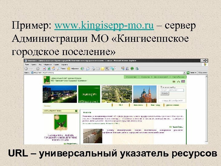 Пример: www. kingisepp-mo. ru – сервер Администрации МО «Кингисеппское городское поселение» URL – универсальный