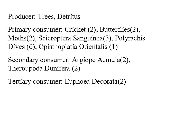 Producer: Trees, Detritus Primary consumer: Cricket (2), Butterflies(2), Moths(2), Scieroptera Sanguinea(3), Polyrachis Dives (6),