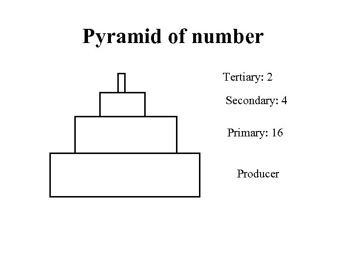 Pyramid of number Tertiary: 2 Secondary: 4 Primary: 16 Producer 
