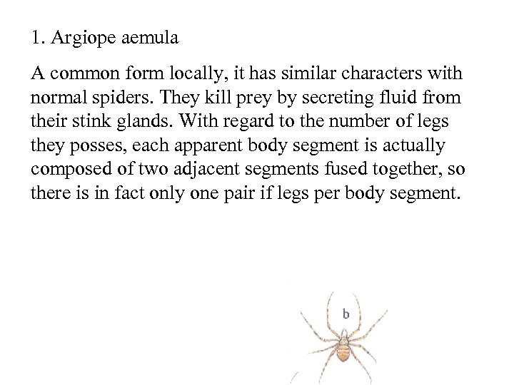 1. Argiope aemula A common form locally, it has similar characters with normal spiders.