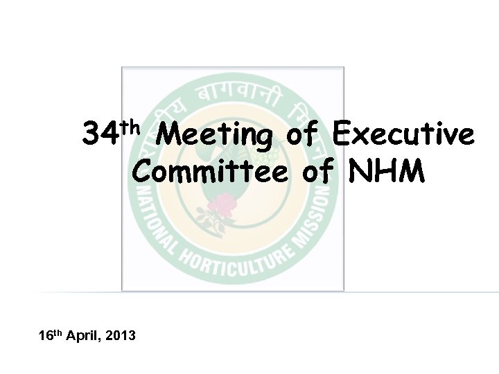 34 th Meeting of Executive Committee of NHM 16 th April, 2013 