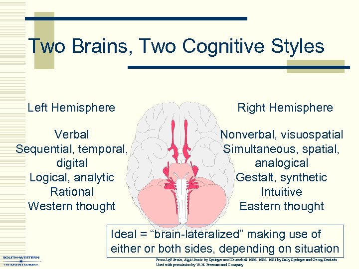 Two Brains, Two Cognitive Styles Left Hemisphere Verbal Sequential, temporal, digital Logical, analytic Rational