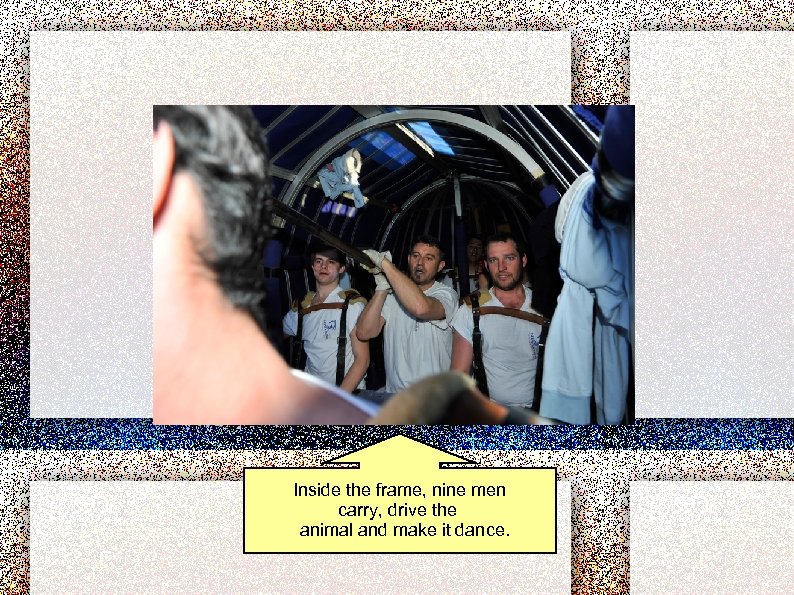Inside the frame, nine men carry, drive the animal and make it dance. 
