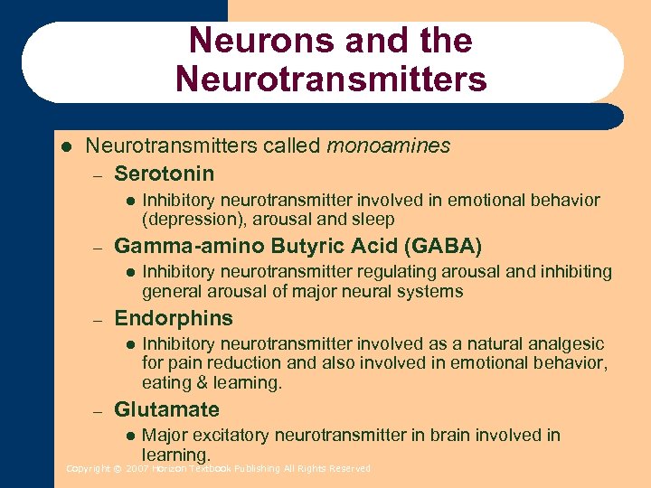 Neurons and the Neurotransmitters l Neurotransmitters called monoamines – Serotonin l – Gamma-amino Butyric