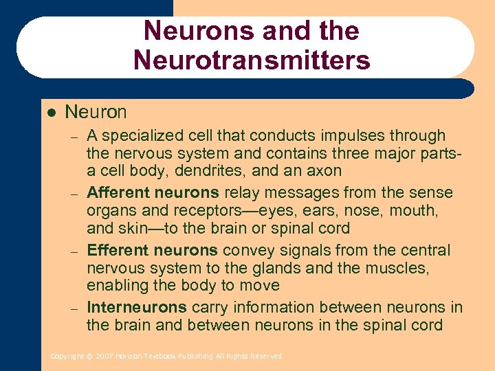 Neurons and the Neurotransmitters l Neuron – – A specialized cell that conducts impulses