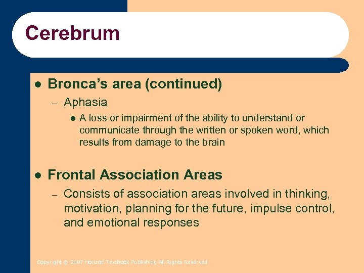Cerebrum l Bronca’s area (continued) – Aphasia l l A loss or impairment of