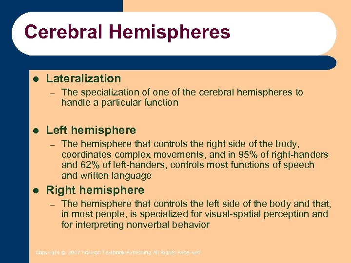 Cerebral Hemispheres l Lateralization – l Left hemisphere – l The specialization of one
