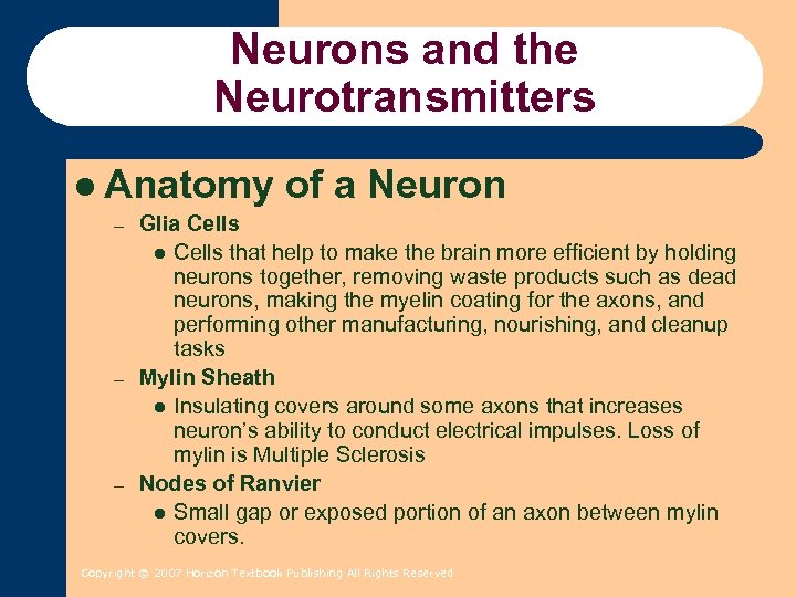 Neurons and the Neurotransmitters l Anatomy – – – of a Neuron Glia Cells