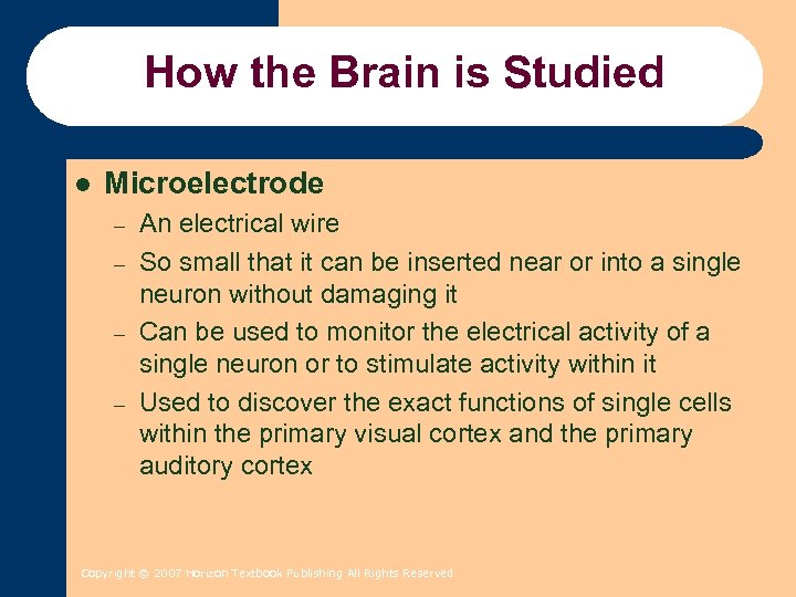 How the Brain is Studied l Microelectrode – – An electrical wire So small